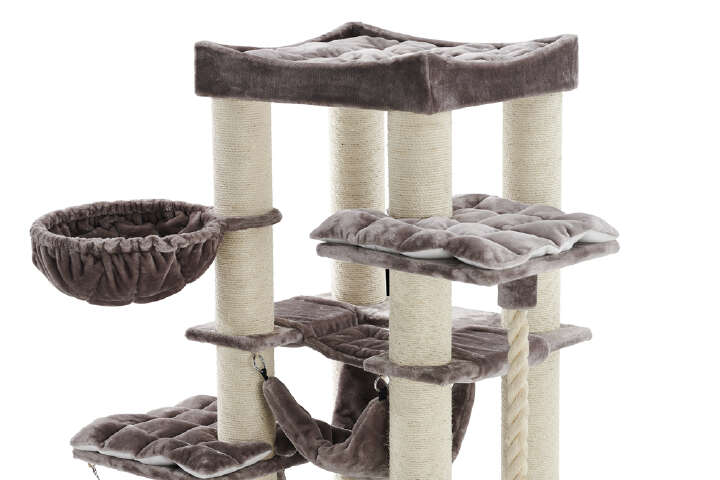 Nobby Kratzbaum Rubi